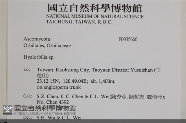 登錄號:F0035666藏品圖，第2張