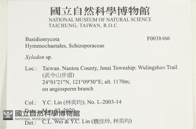 登錄號:F0038466藏品圖，第2張