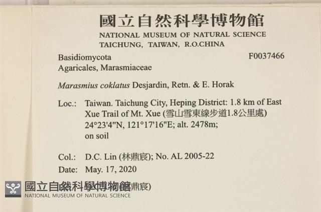登錄號:F0037466藏品圖，第2張