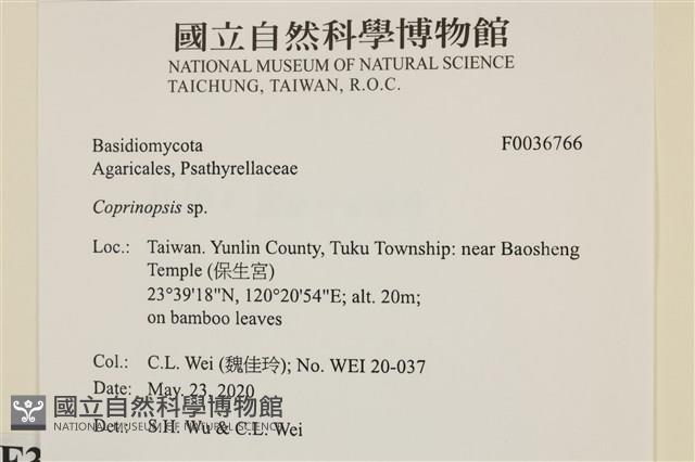 登錄號:F0036766藏品圖，第2張