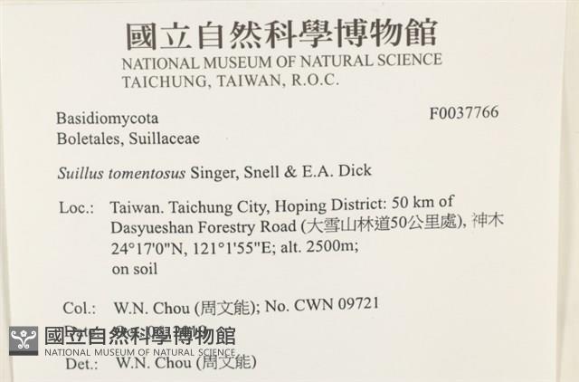 登錄號:F0037766藏品圖，第2張