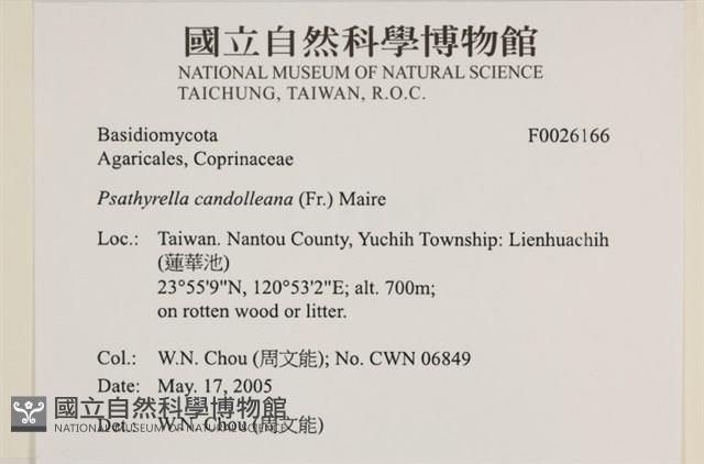 登錄號:F0026166藏品圖，第4張