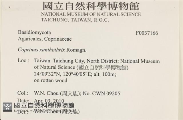 登錄號:F0037166藏品圖，第2張