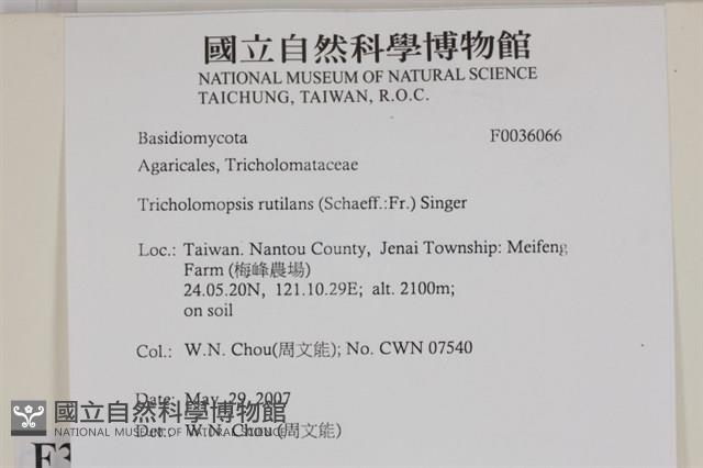 登錄號:F0036066藏品圖，第2張