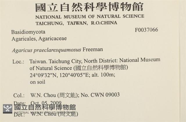 登錄號:F0037066藏品圖，第2張