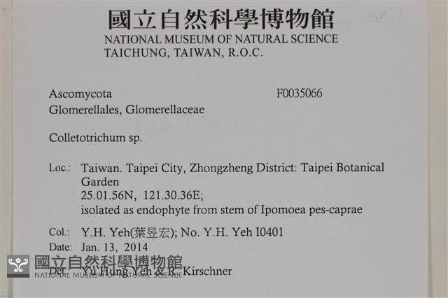 登錄號:F0035066藏品圖，第2張