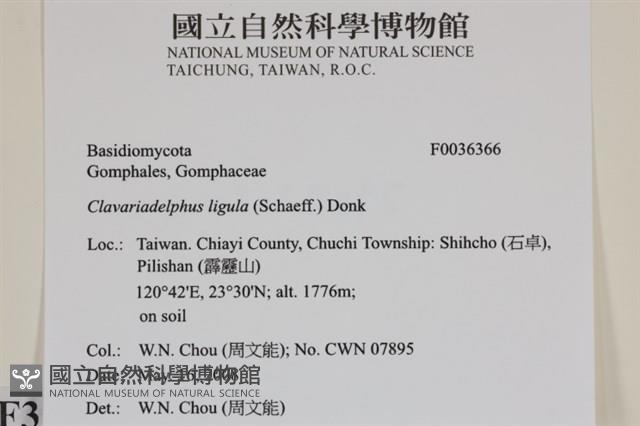 登錄號:F0036366藏品圖，第2張