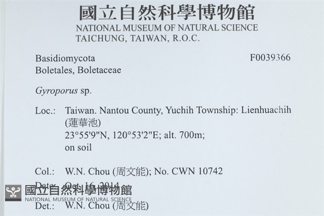 登錄號:F0039366藏品圖，第2張