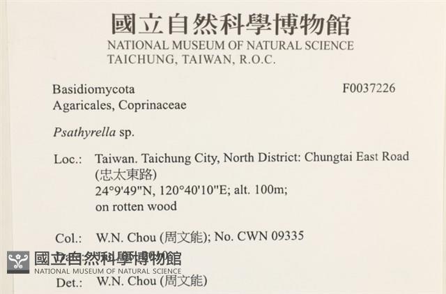 登錄號:F0037226藏品圖，第2張