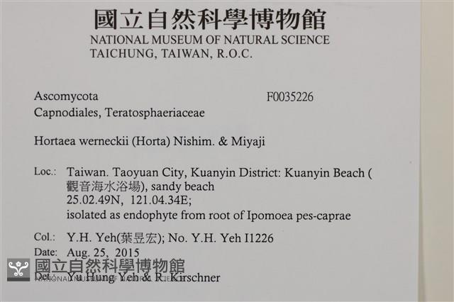 登錄號:F0035226藏品圖，第2張