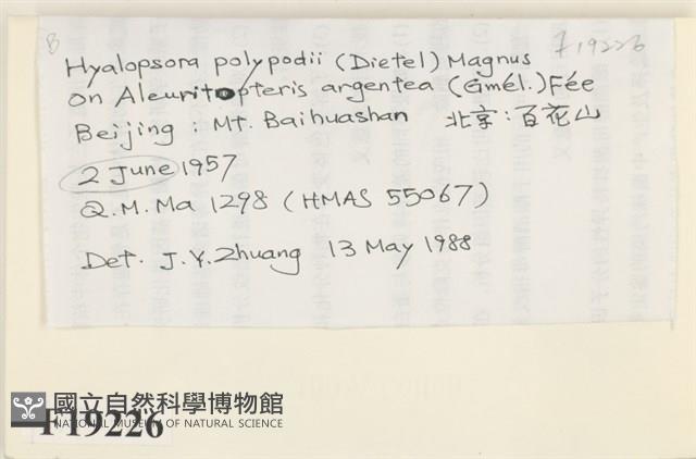 登錄號:F0019226藏品圖，第2張