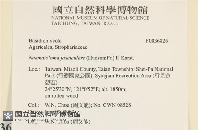 登錄號:F0036826藏品圖，第2張