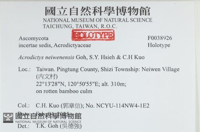 登錄號:F0038926藏品圖，第2張