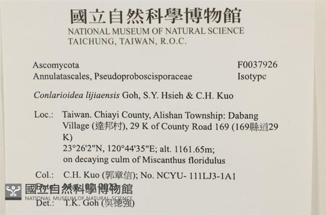 登錄號:F0037926藏品圖，第2張