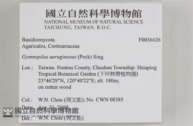 登錄號:F0036626藏品圖，第2張