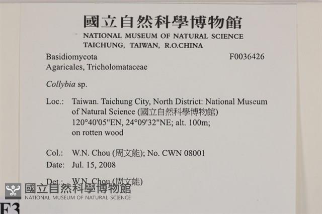 登錄號:F0036426藏品圖，第2張