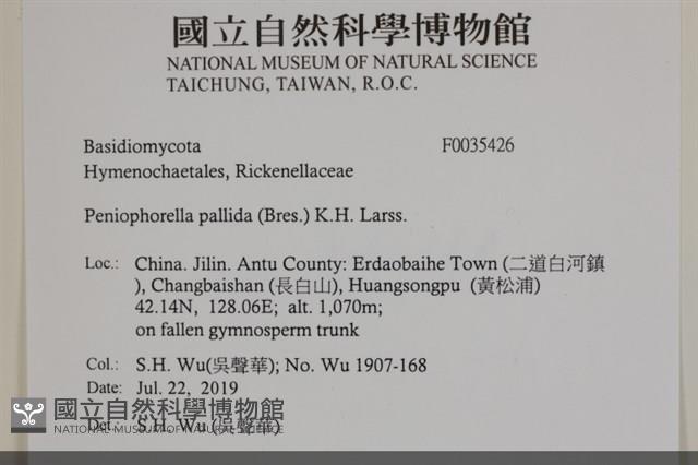 登錄號:F0035426藏品圖，第2張