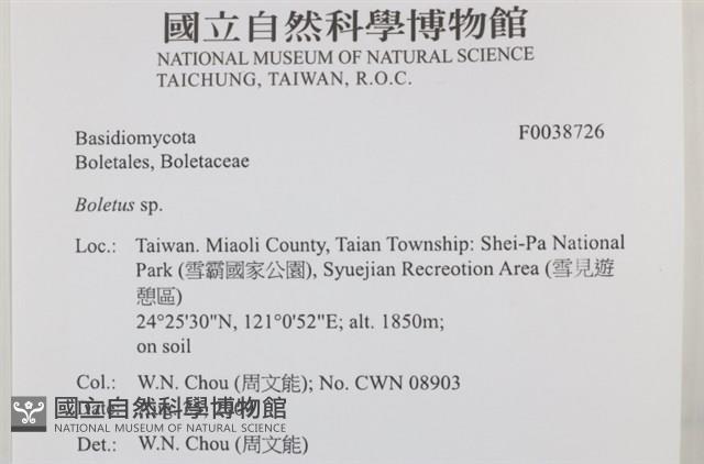 登錄號:F0038726藏品圖，第2張