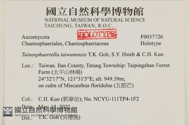 登錄號:F0037726藏品圖，第2張