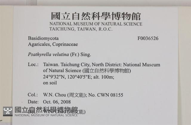 登錄號:F0036526藏品圖，第2張