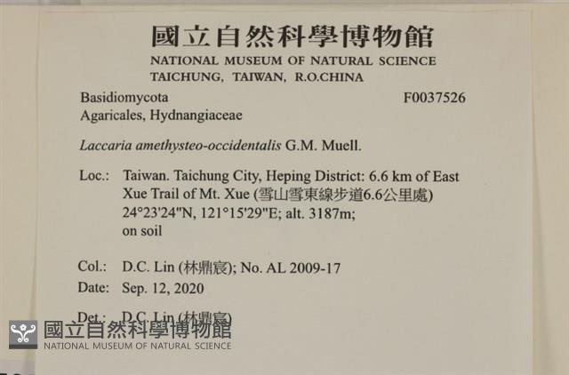 登錄號:F0037526藏品圖，第2張