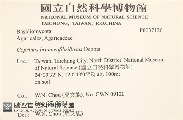 登錄號:F0037126藏品圖，第2張