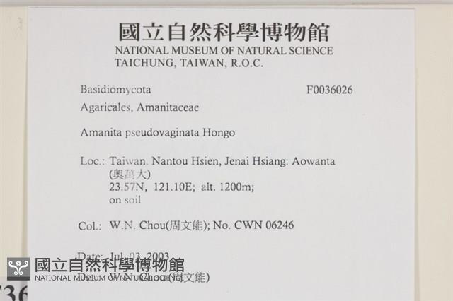 登錄號:F0036026藏品圖，第2張