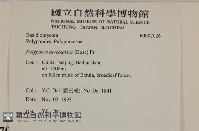 登錄號:F0007026藏品圖，第4張