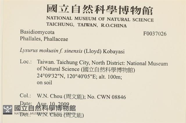 登錄號:F0037026藏品圖，第2張