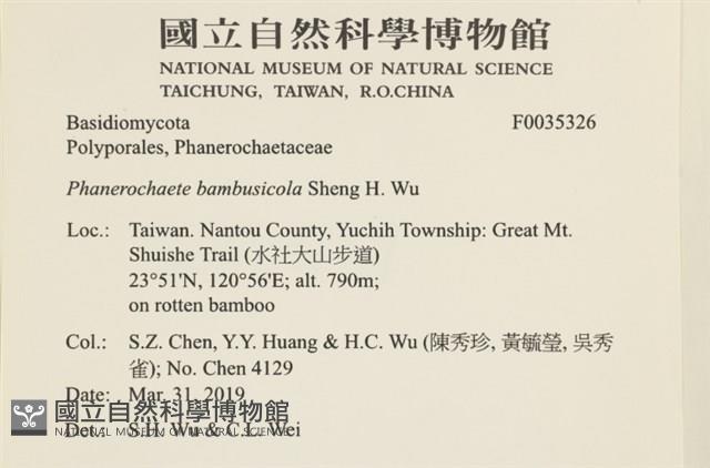 登錄號:F0035326藏品圖，第2張