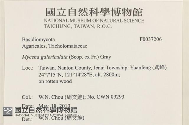 登錄號:F0037206藏品圖，第2張