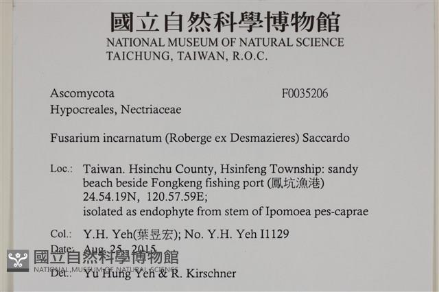 登錄號:F0035206藏品圖，第2張