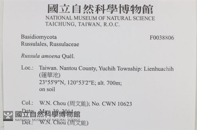 登錄號:F0038806藏品圖，第2張