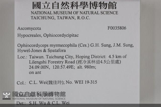 登錄號:F0035806藏品圖，第2張