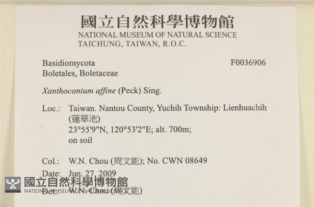 登錄號:F0036906藏品圖，第2張
