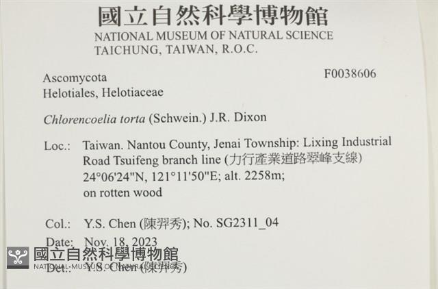 登錄號:F0038606藏品圖，第2張