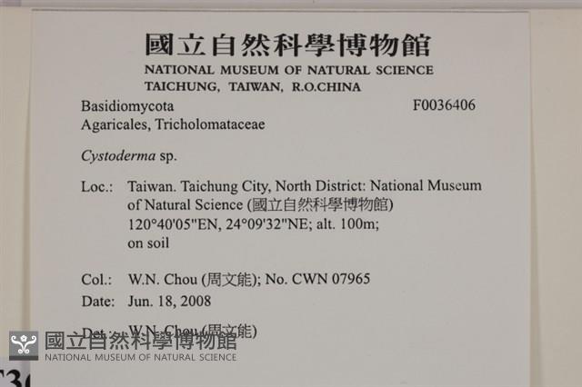 登錄號:F0036406藏品圖，第2張