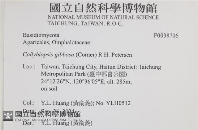 登錄號:F0038706藏品圖，第2張