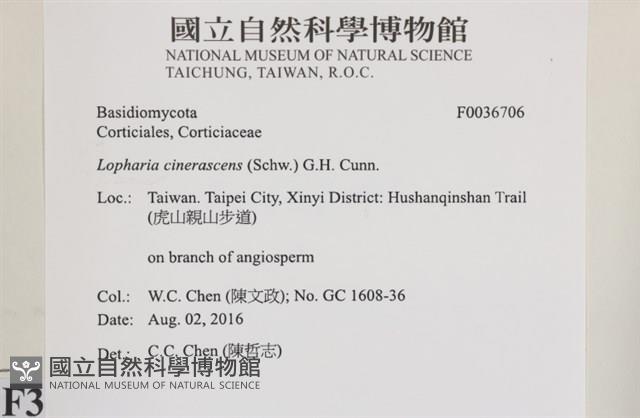 登錄號:F0036706藏品圖，第2張