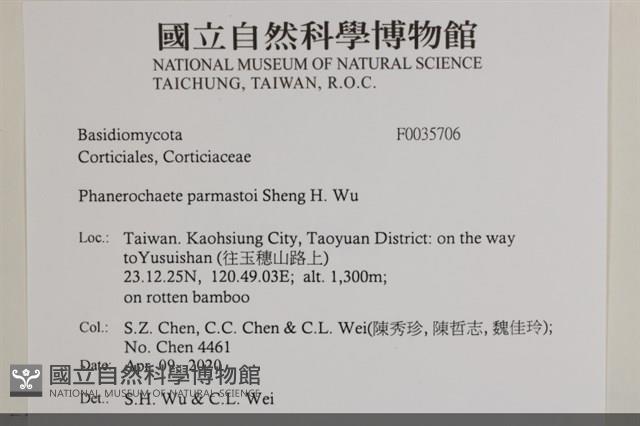 登錄號:F0035706藏品圖，第2張