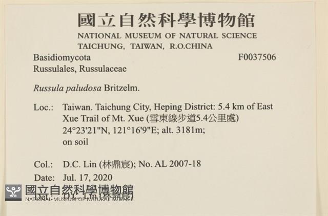 登錄號:F0037506藏品圖，第2張