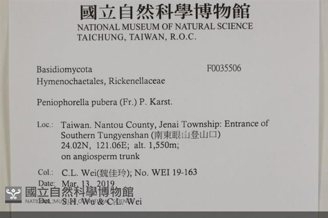 登錄號:F0035506藏品圖，第2張