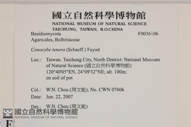 登錄號:F0036106藏品圖，第2張