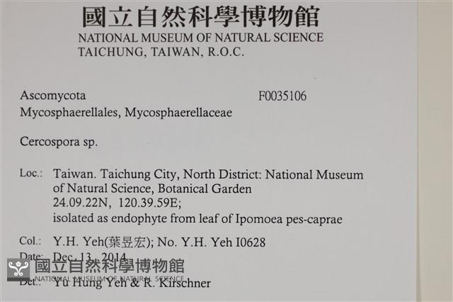 登錄號:F0035106藏品圖，第2張
