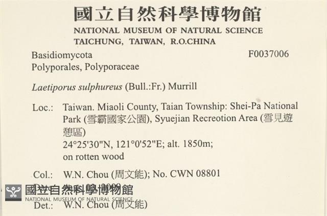 登錄號:F0037006藏品圖，第2張