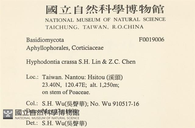 登錄號:F0019006藏品圖，第2張