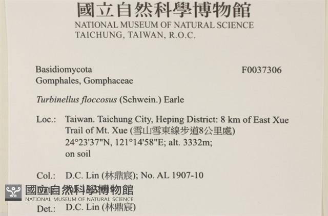 登錄號:F0037306藏品圖，第2張