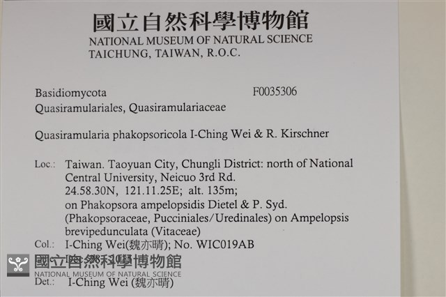 登錄號:F0035306藏品圖，第2張