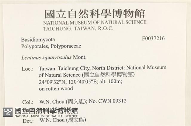 登錄號:F0037216藏品圖，第2張