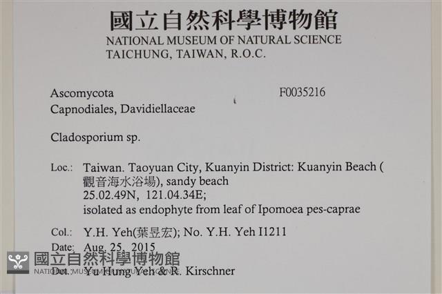 登錄號:F0035216藏品圖，第2張